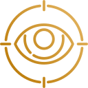 VISION